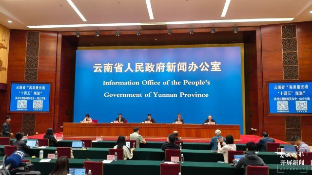 宏观调控体, 林舒佳 宏观调控体, 林舒佳